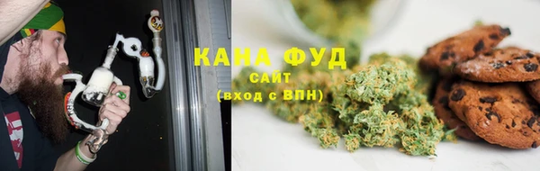 индика Краснослободск