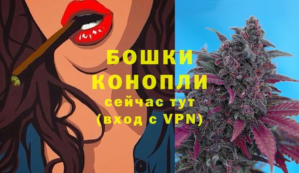 jwh Белокуриха