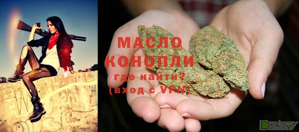 молекула духа Богородск