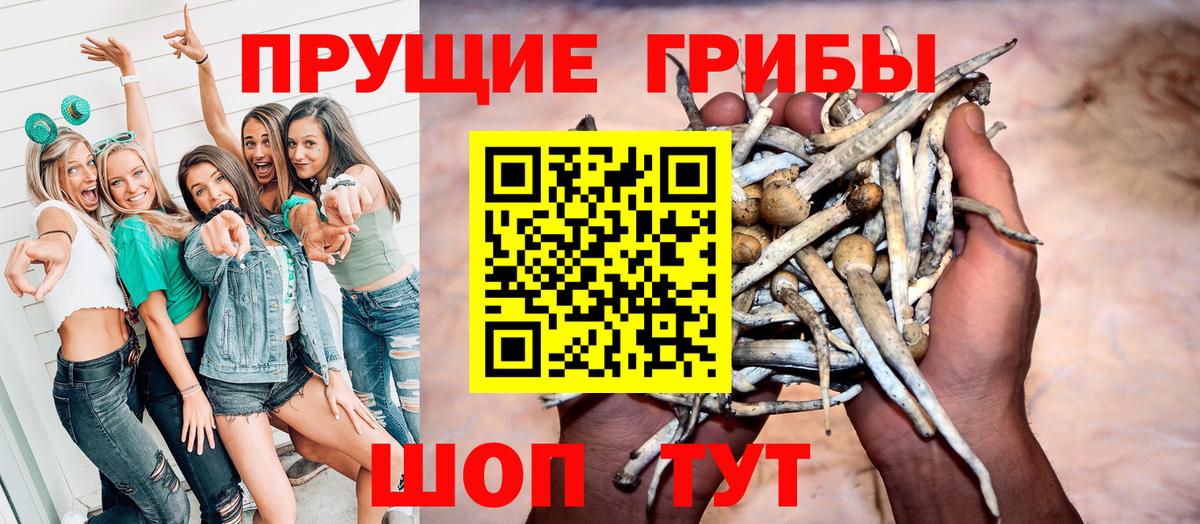 Борисоглебск  продажа наркотиков  Вход с VPN  Галлюциногенные грибы MAGIC MUSHROOMS 