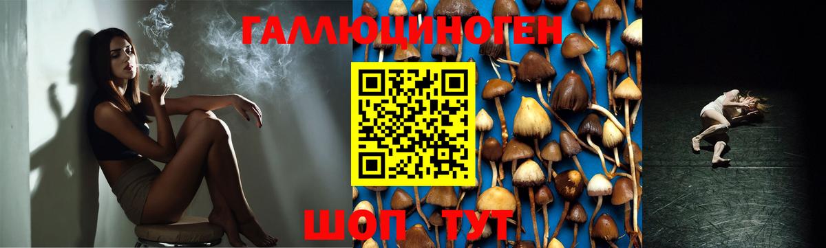 Галлюциногенные грибы прущие грибы Борисоглебск